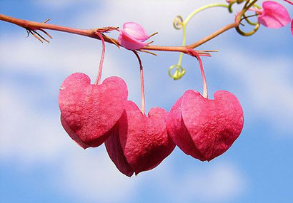 月悟法師：研習天台宗的體會