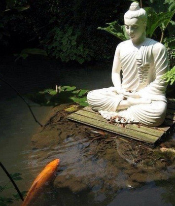 關於佛門放生的思考