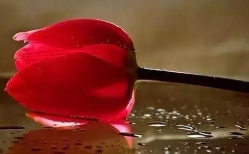 善良是世界上最需要的本性