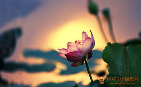 雍瑞法師：學佛需要如何發心？