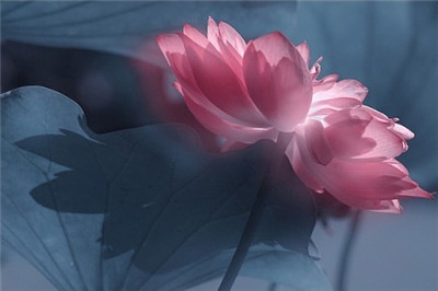 十小咒是什麼意思？十小咒分別為哪些咒？