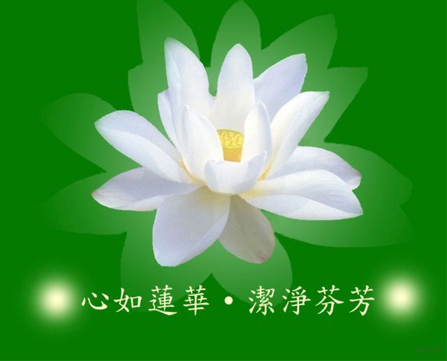 在家居士，如何保持一顆清凈純潔的心