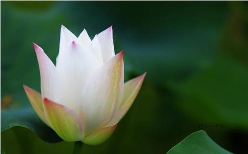 別讓生存成了無有意識的行屍走肉