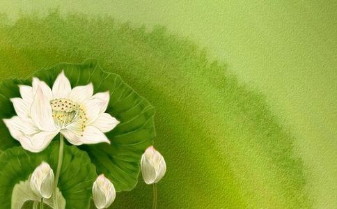 禪觀呼吸「念息」應認識那些常識？