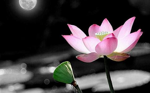 佛教常用的迴向偈、迴向文大全