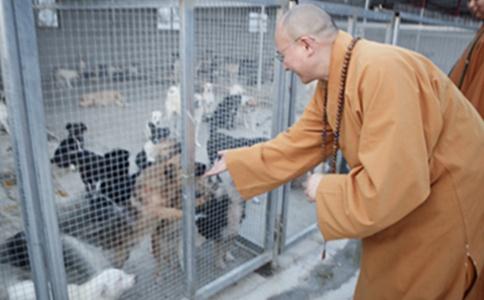 拯救生命的方便法門