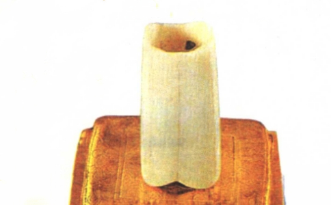 佛指舍利是什麼東西，在哪供奉？