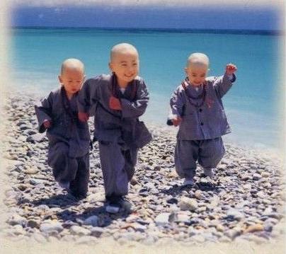 一行禪師：故道白雲：等待明天