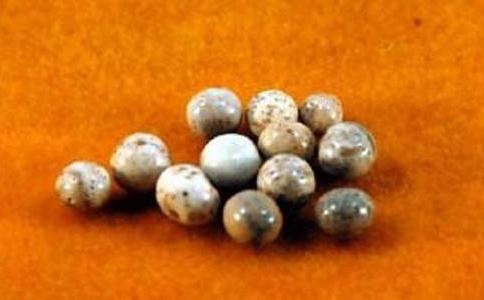 詳解神秘的舍利子究竟是怎樣形成的