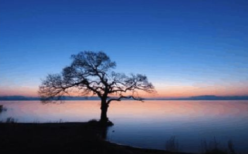 常觀無常 勇猛精進