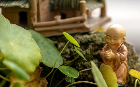 居士每日應該做哪些功課、定課？如何實修？