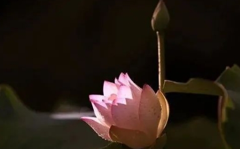 修行的核心到底是什麼？