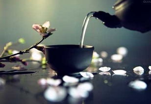 虛雲老和尚奇事：野狐解脫