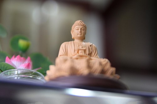 為什麼學佛的人男女老少互相稱呼「師兄」呢?