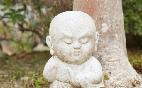 修行是專修好還是雜修好？修凈土法門要看哪些經典？