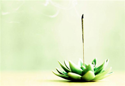 葯師咒的修行目的