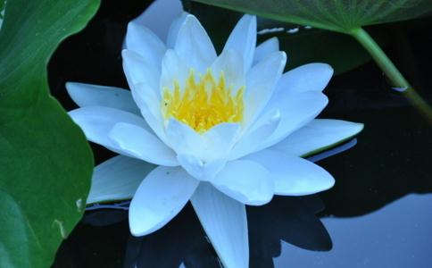 母親許玉英往生小記