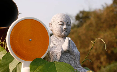 想引導孩子從小種下學佛的種子，有什麼意見嗎？