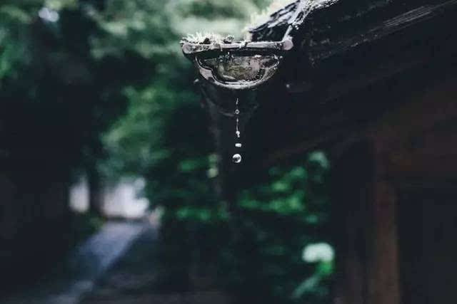 「隨緣自在」和「放任自流」有何區別？