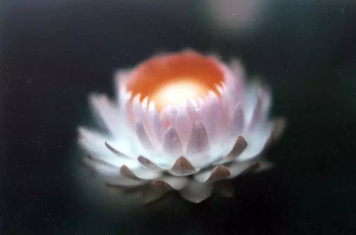 有一天，他在定中看見阿彌陀佛，用水灑在他的面部並對他說話