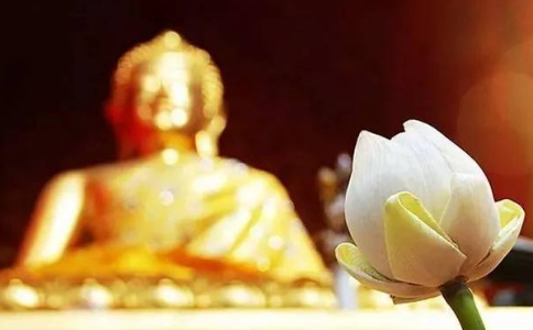 修行法門眾多，該如何去選擇？