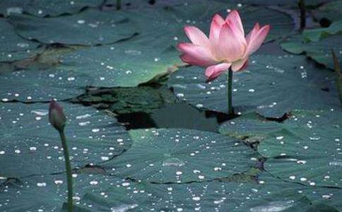 一間鬼屋引發兩個客僧的扭打