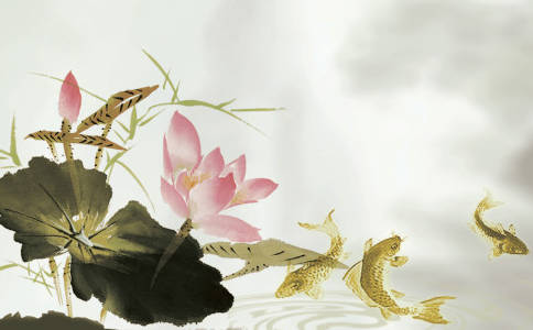 冬季放生經驗分享