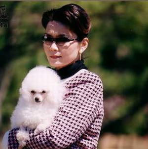 潘虹：我已皈依6年 生活不必熱鬧