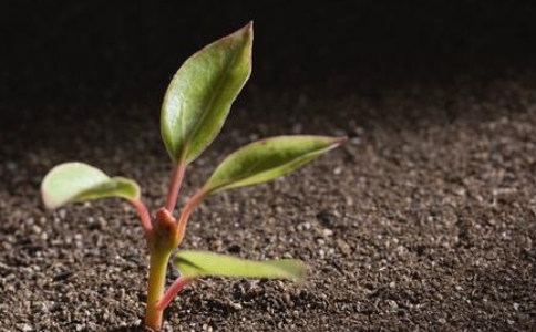 佛法就是破我執，師徒之間的言行