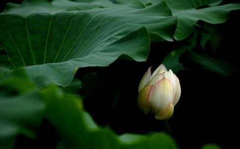 佛說善與惡的不同終點，你的選擇是什麼？