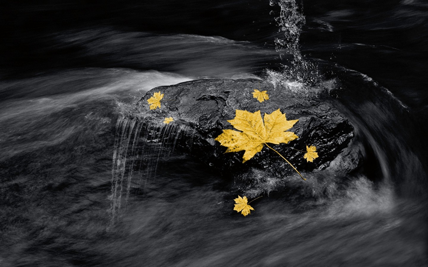 顧小失大：百喻經故事