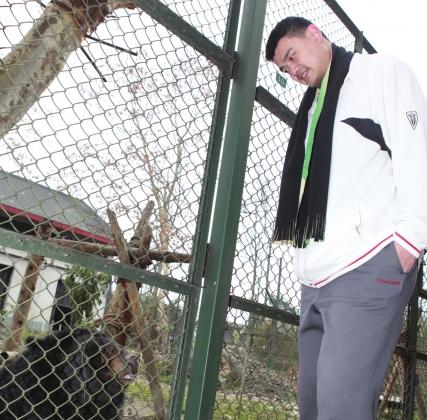 看望被救黑熊 姚明呼籲社會關愛