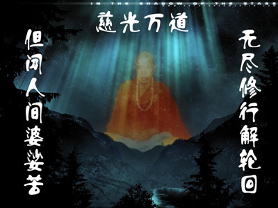 為什麼所有的蚊子、老鼠、毒蛇都不會咬、不會傷害宣化上人？