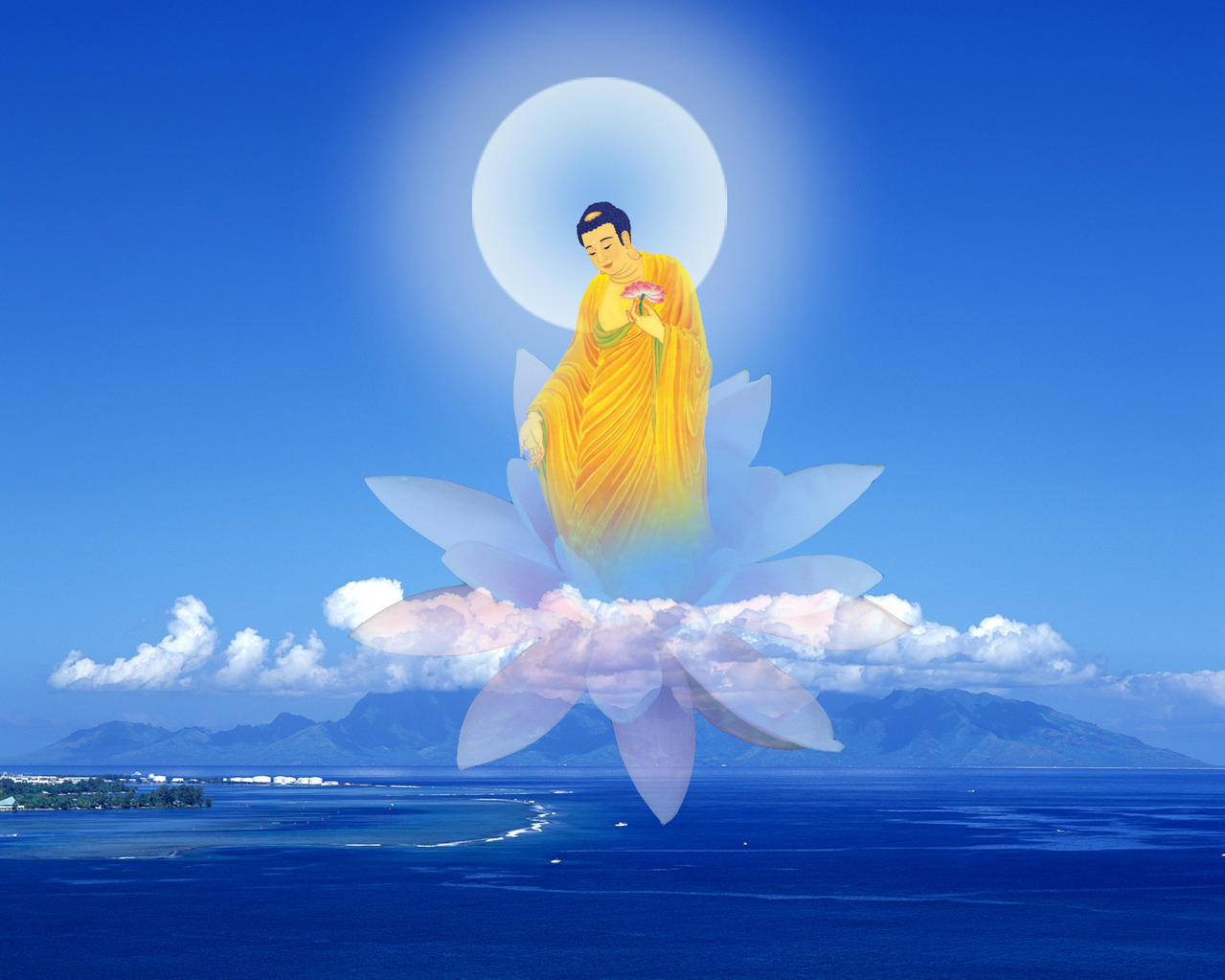 一歷耳根，永為道種!