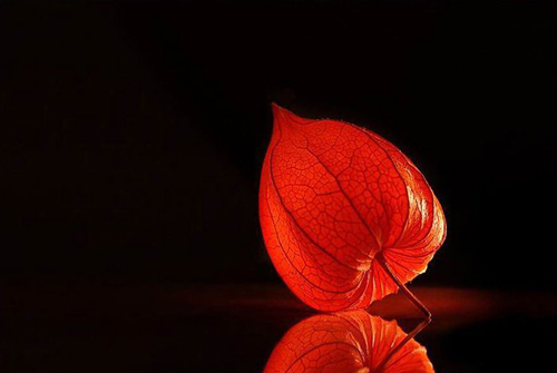 善心不僅能救人命，還能救人心