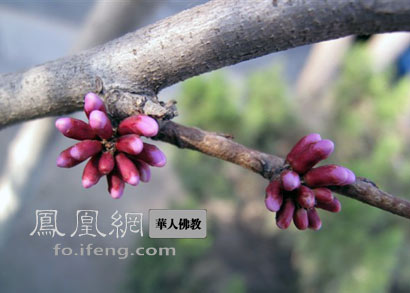 人生最大的拖累是金錢