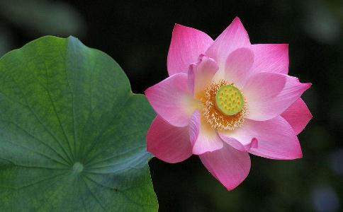 別再糾結！放下孩子是何投胎而來的念頭