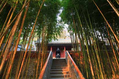 佛為什麼不幫我？