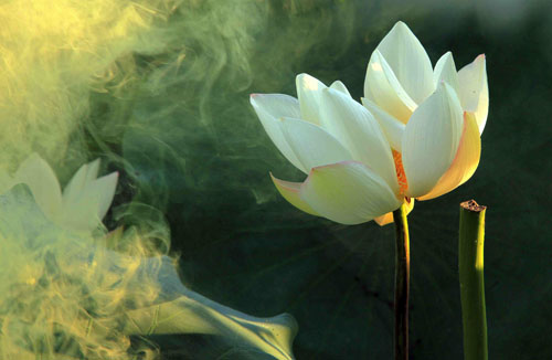 懂得利用時空，才能把握無限時空