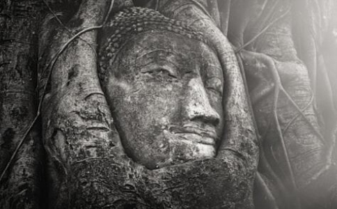 【無生】佛教的無生是什麼意思？