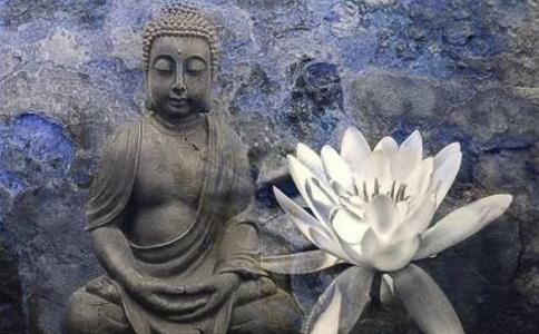 關於「念佛是誰」的開示