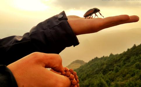 放生到底是什麼？