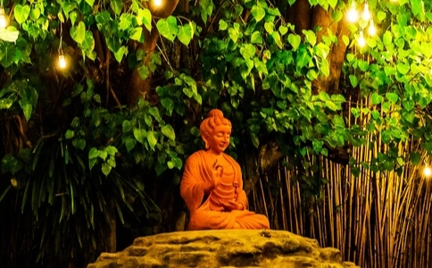 伽屍比丘尼身披袈裟出生的因緣故事