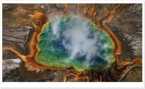 生命，真正的無價之寶