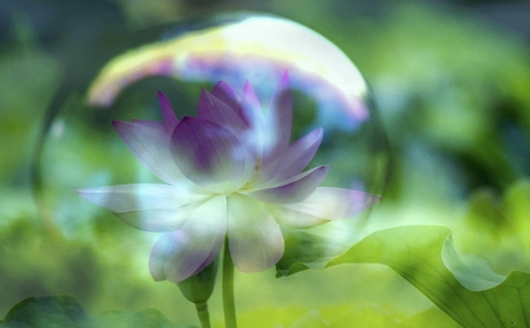 夢幻泡影，人皆有之；若不自破，終被他破