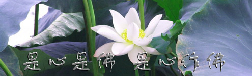 弘一大師救冤女