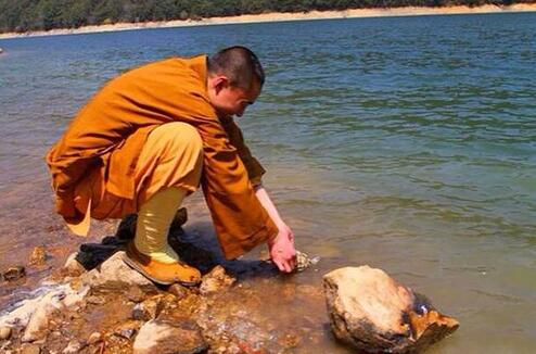 切記不要在家裡殺生