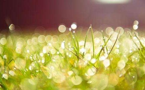 華山思過崖：為了我們的親人不遭受這樣的酷刑