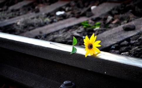 你的善良，無需考核！