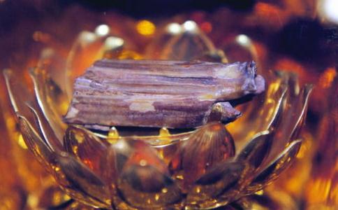 釋迦牟尼佛牙舍利